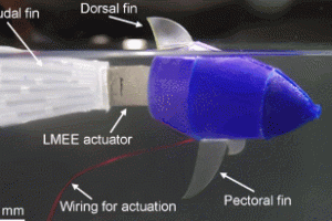 Robotic Fish with Tail Made Of Thubber, Stretchable Rubber Material for Robots