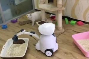 Sego I Robot Is a Pet Sitter & Feeder