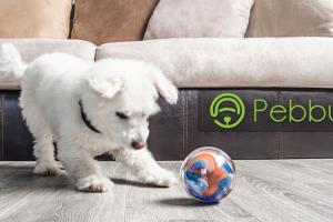Pebby Robotic Pet Ball