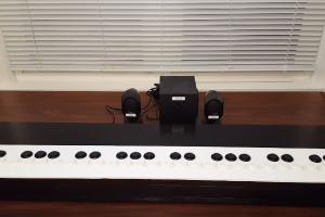 Tough Pi-ano with Raspberry Pi for Musical Therapy