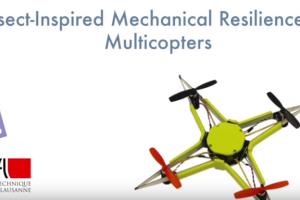 Insect-Inspired Flexible Drone Can Survive Crashes, Drops