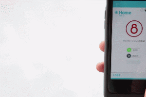 Smarke: Smart Keyless Entry System for Gates, Buildings