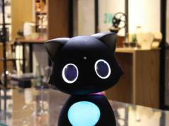 Lode Matebot Personal Assistant Robotic Cat
