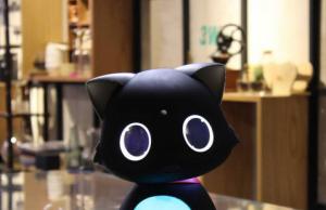 Lode Matebot Personal Assistant Robotic Cat