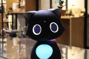 Lode Matebot Personal Assistant Robotic Cat