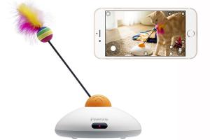 Pawbo Catch: App Controlled Cat Teaser Toy
