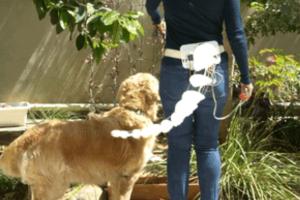 DIY: Animatronic Tail with Arduino