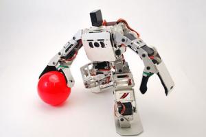 Robovie Nano Robot with 15 DOF