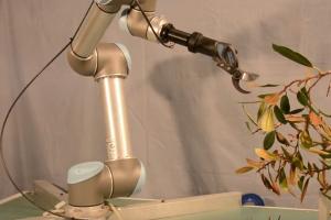 UR5 Robotic Arm With Pruner