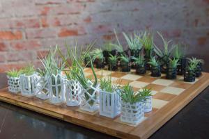 Air Plant 3D Printed Chess Set