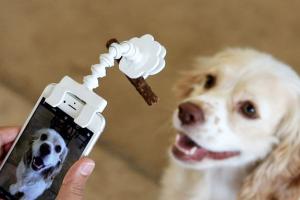 Flexy Paw: Smartphone Attachment for Pet Photos