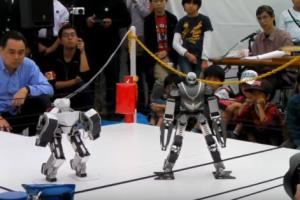 Robots Pro Wrestling In Japan
