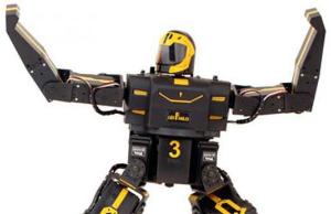 RoboPhilo Humanoid Robot with 20 DOF