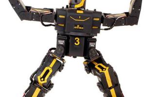 RoboPhilo Humanoid Robot with 20 DOF