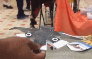 Transforming Penguin Paper Toy