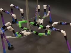 Arthrobots: Semi Soft Robots Inspired by Insects