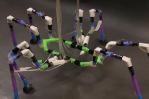 Arthrobots: Semi Soft Robots Inspired by Insects