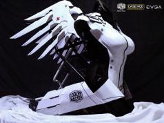 Winged Victory of Mercy Case Mod