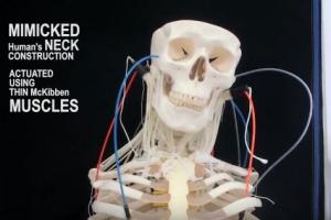 Multifilament Artificial Muscles for Robots To Mimic Human Neck Movement
