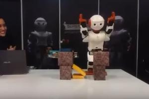 Surena Mini: Iran’s Karate Chopping Humanoid Robot