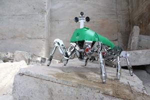 LAURON Bio-inspired, 6-legged Walking Robot