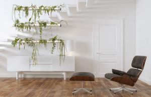 Pendularis Floating Indoor Garden