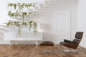 Pendularis Floating Indoor Garden