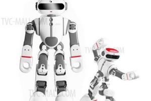 Dobi App Smart Humanoid Robot