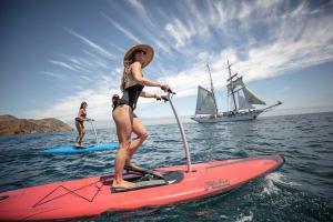 Mirage Eclipse Standup Pedalboard