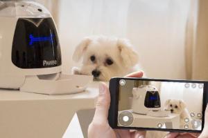 Pawbo Munch Smart Treat Dispenser for Your Pets