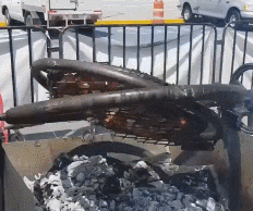 Gyroscopic BBQ Grill