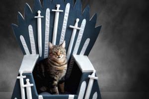 Game of Thrones Iron Throne Cat Bed
