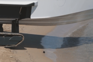 E-Iguana 29 Amphibious Boat