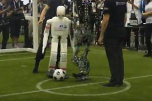 NimbRo-OP2 3D Printed Open Humanoid Robot