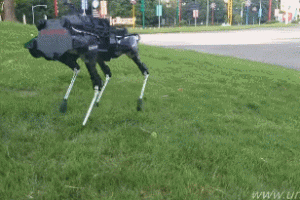 Laikago 4-Legged Robot Dog