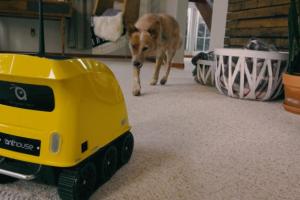 Buddy+ Robotic Companion for Your Dog