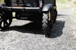 Veer All-Terrain Cruiser for Your Children