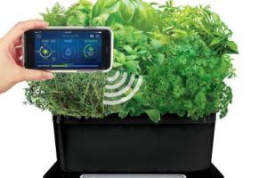 AeroGarden Harvest Elite WiFi Indoor Garden