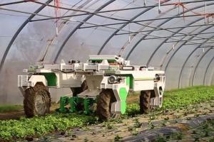 Dino Large-Scale Weeding Robot