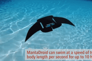 MantaDroid Robotic Manta Ray