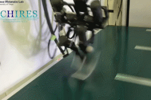 ACHIRES Bipedal Robot with High-Speed Vision System Masters Running