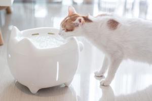 OMI Self-Cleaning Water Purifier for Pets