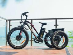 MOTAN M-350 Fat Tire Electric Tricycle