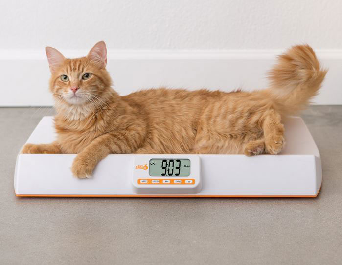 EatSmart Baby/Pet Weight Scale