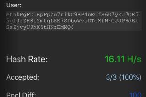 Mobile Miner: Cryptocurrency Mining on Smartphones
