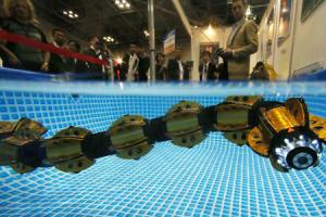 ACM-R5H Amphibious Snake Robot