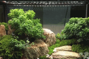 SmartTerra Smart Terrarium with Rainstorm & Lightning Simulation