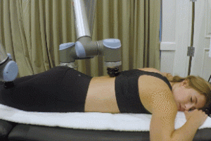 Alex Full Body Massage Robot