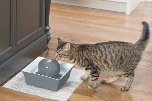 PetSafe Drinkwell Seascape Pet Water Fountain