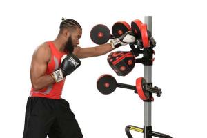 FightMaster Boxing & MMA Trainer